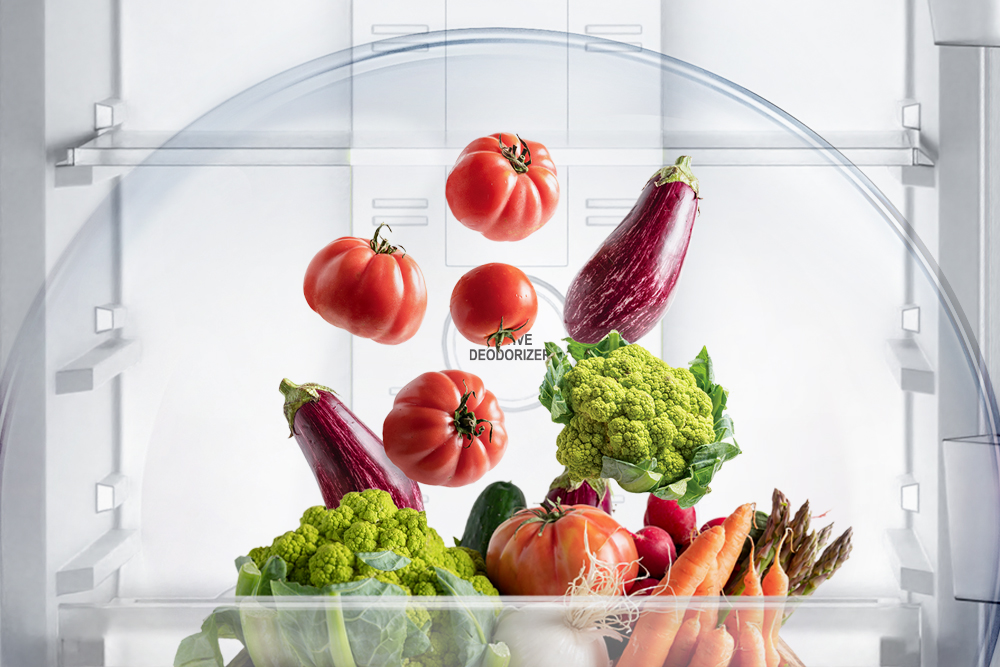 Acer Home Appliances | Acer Large Appliances | Double Door Frost Free Refrigerator | Consistent Temperature | Indkal